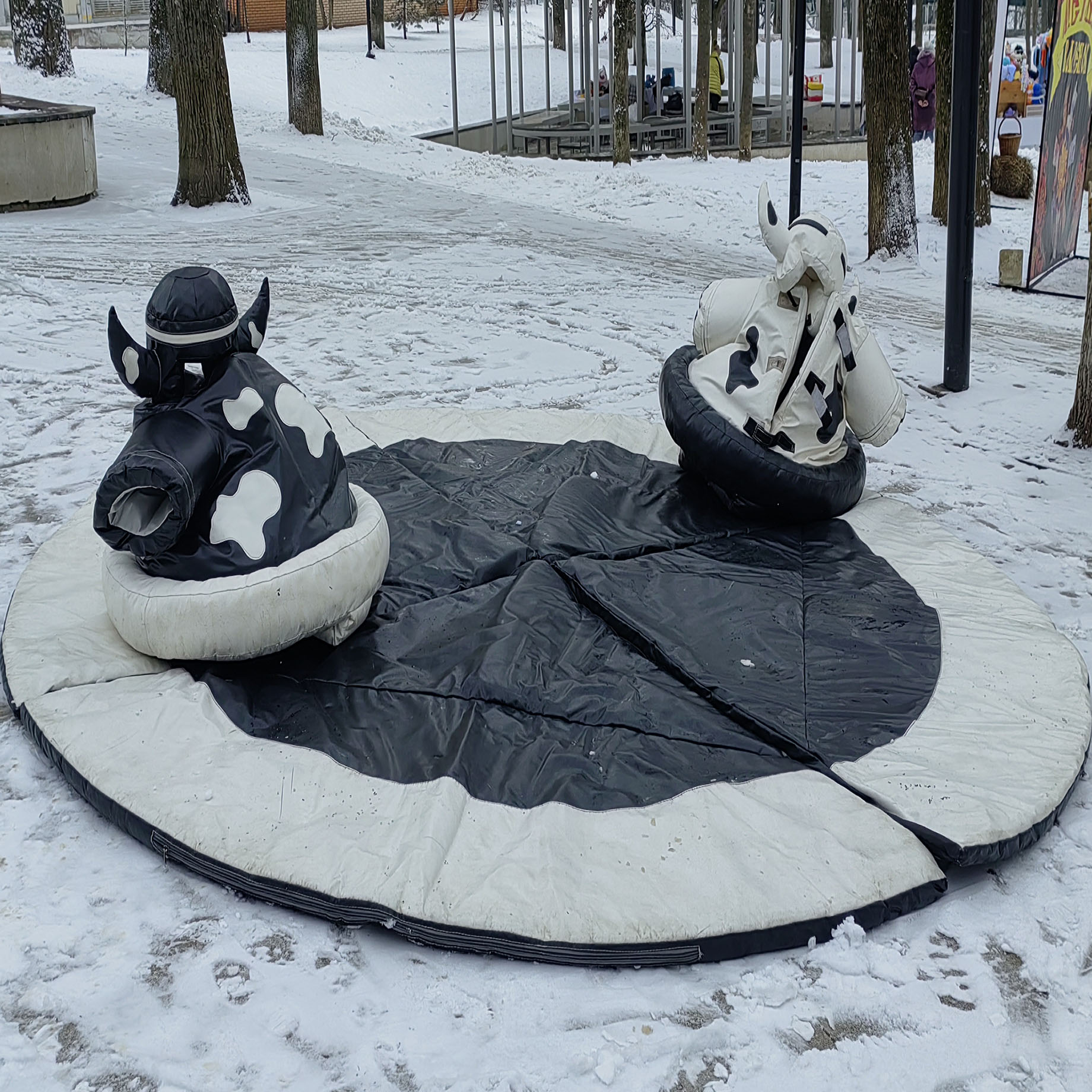 Главное изображение