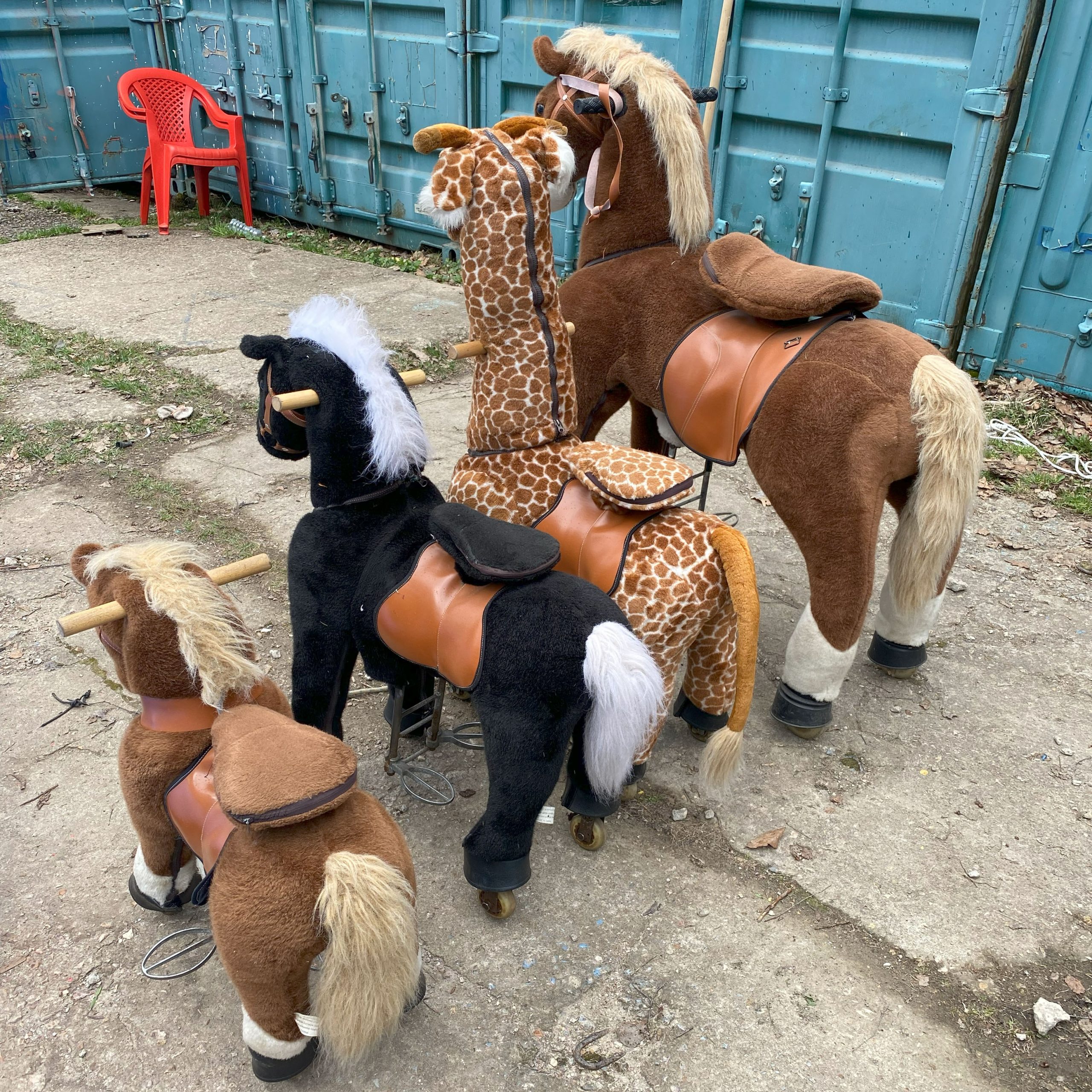 Главное изображение