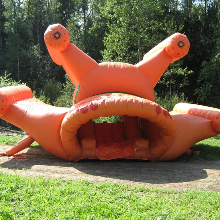 Главное изображение
