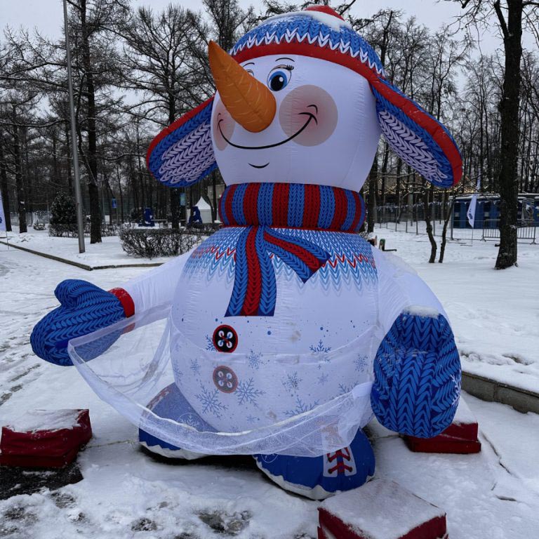 Главное изображение